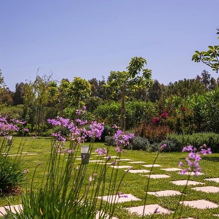 Mear Holiday Homes - Cretan Summer Getaways Kountoura Selino Extérieur photo