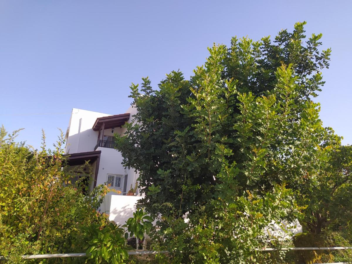 Mear Holiday Homes - Cretan Summer Getaways Kountoura Selino Extérieur photo