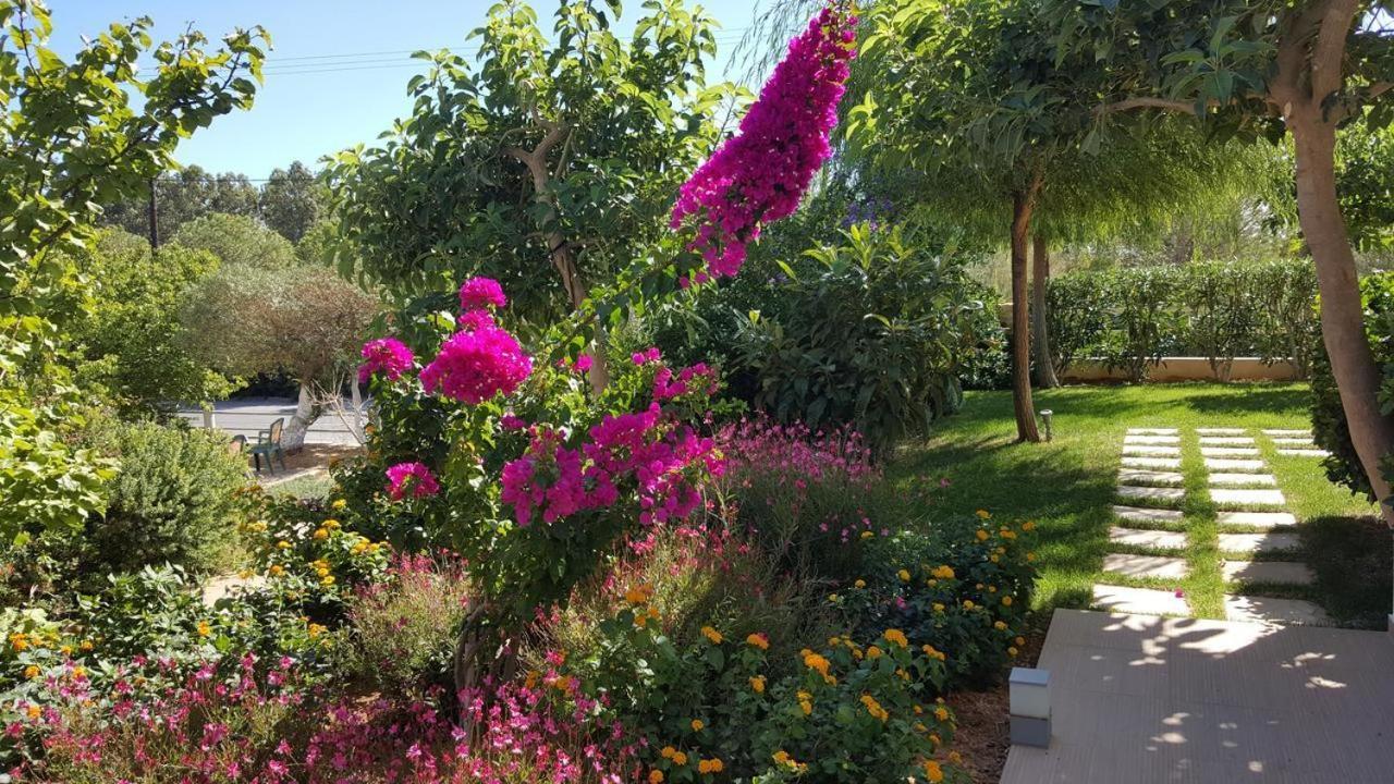 Mear Holiday Homes - Cretan Summer Getaways Kountoura Selino Extérieur photo